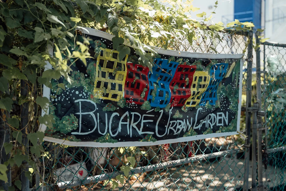 Entrance and sign at the community garden